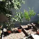 Setany Apartmanhaz 公寓 Fonyód
