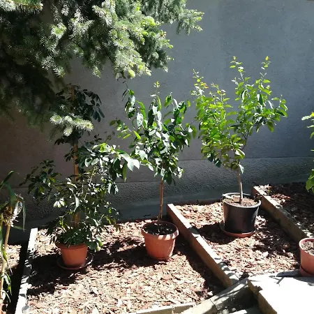 Sétány Apartamento Fonyód